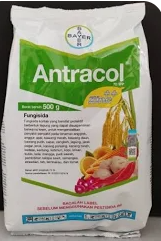 Antracol 250 gr