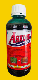 Asxone 1 Liter