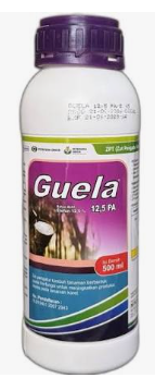 Panduan Memilih dan Menggunakan Guela 500 ml
