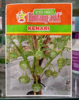 Terong Kenari